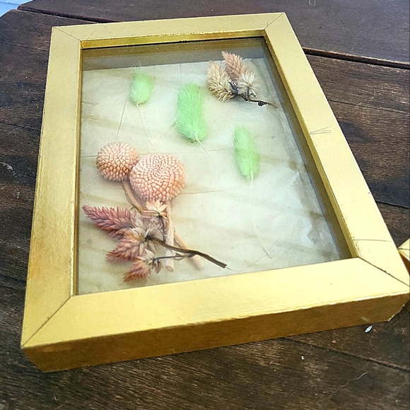 Dried Flower Taxidermy Framed Shadow Box Art Set of 2 - Picture 4 of 11